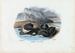 Muslinger, 1863-79 af Raimundo Petraroja